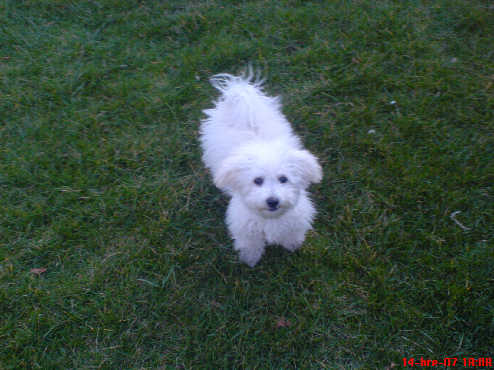 DSC00111.JPG