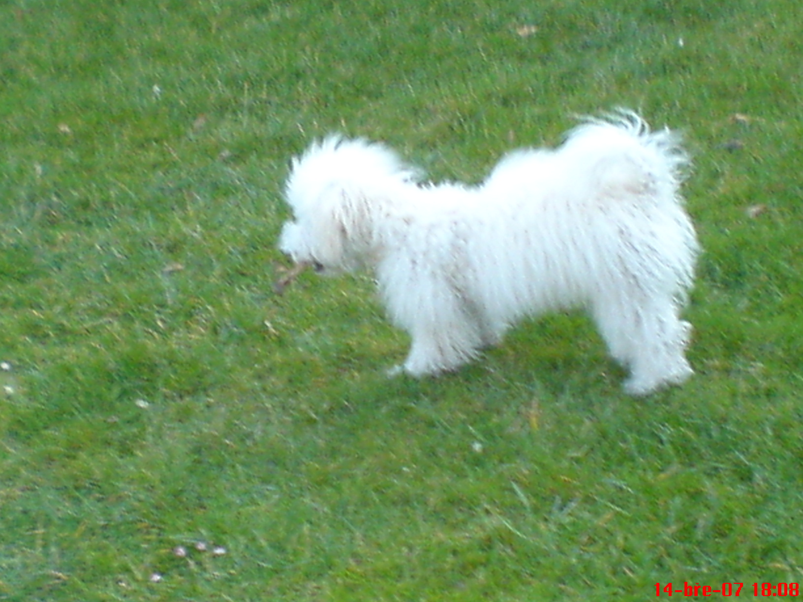 DSC00114.JPG