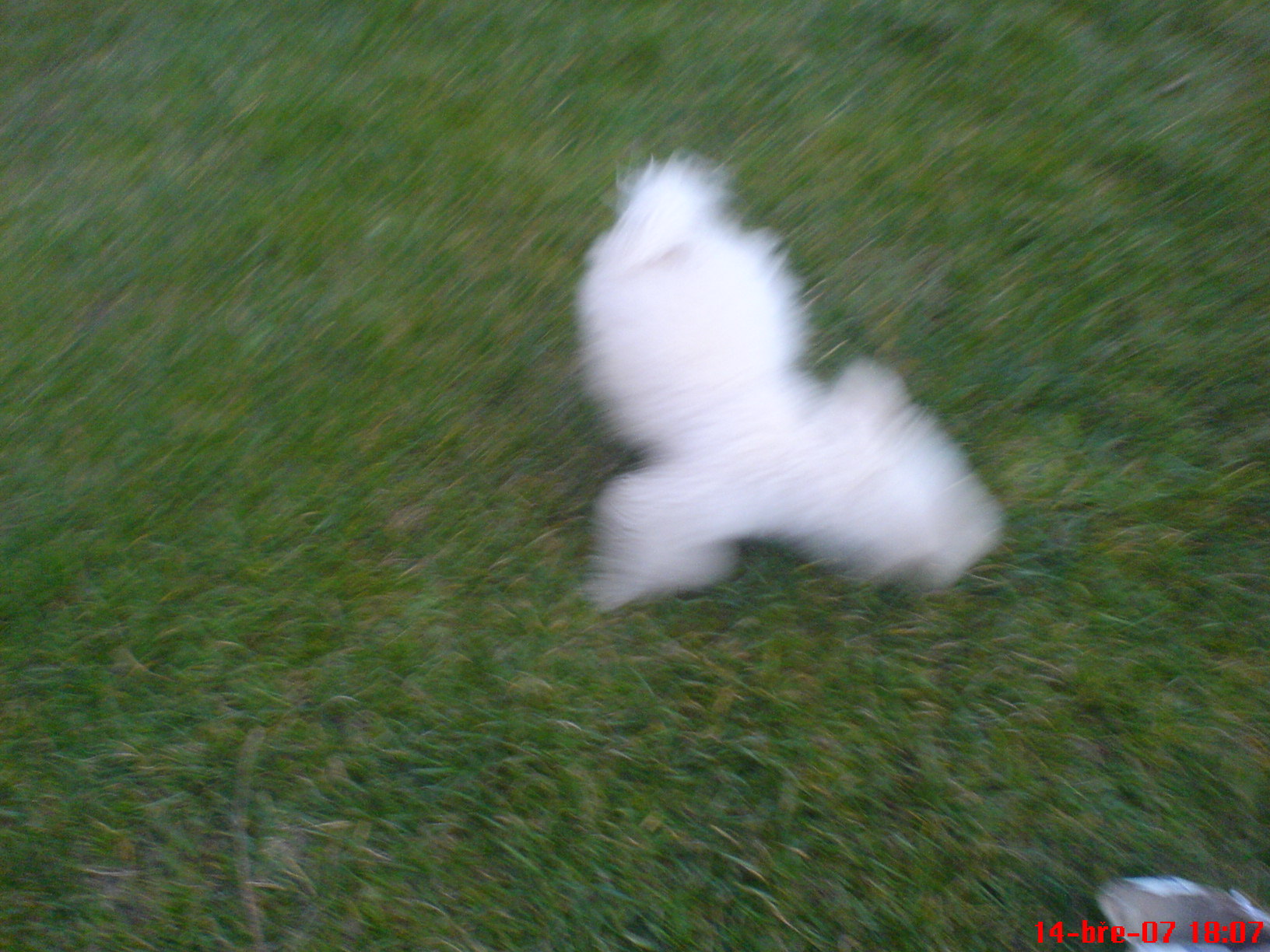 DSC00109.JPG