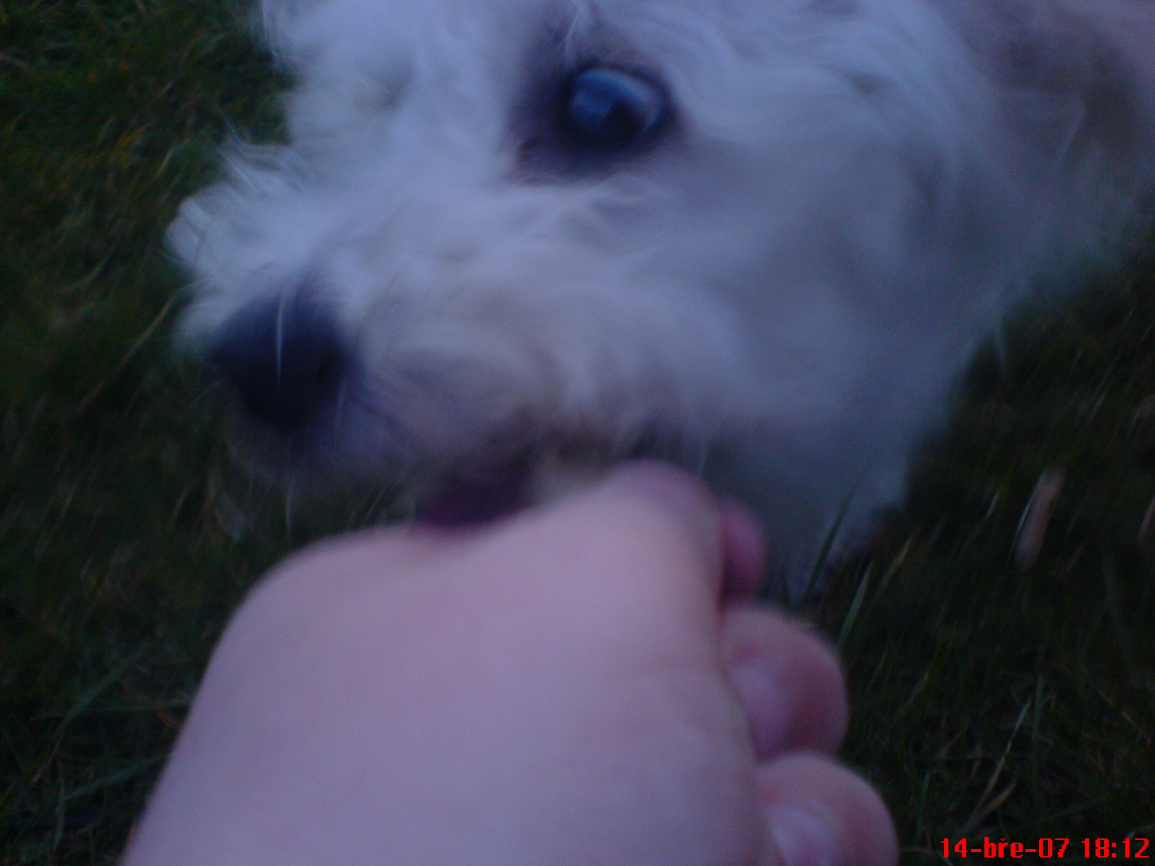 DSC00121.JPG