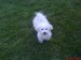 DSC00111.JPG