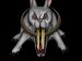 rabbit.jpg