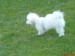 DSC00114.JPG