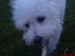 DSC00122.JPG