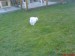 DSC00113.JPG