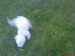 DSC00119.JPG