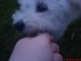 DSC00121.JPG